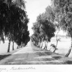 Nahrendorfer Strasse