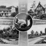 Grusskarte aus dem Jahre 1961. 1. Augustenhof (Martens) 2. Alte Schule (jetziger Kindergarten) 3. Hühnengrab im Schieringen 4. Dorfstrasse "Lütt Hamborg"